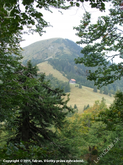 Zelené okienko