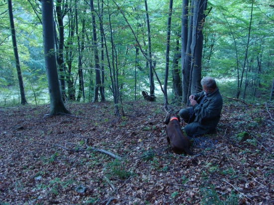 Príprava na dohľadávku v ťažkom horskom teréne Veľkej Fatry
