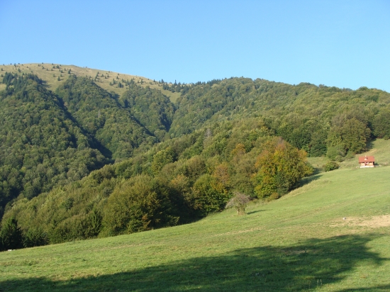 Lysec Belianska dolina Veľká Fatra