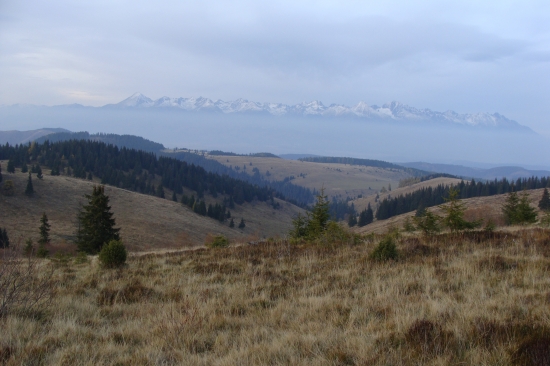 Horské poľany nad Liptovskou Tepličkou