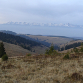 Horské poľany nad Liptovskou Tepličkou
