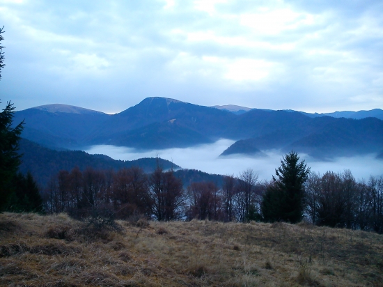 Decembrová inverzia