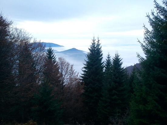 Decembrová inverzia II.