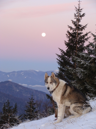 Mrazivé ráno vysoko v horách
