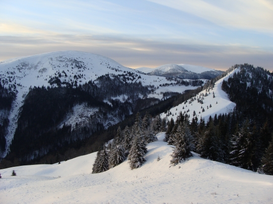 Ploská kráľovná Veľkej Fatry