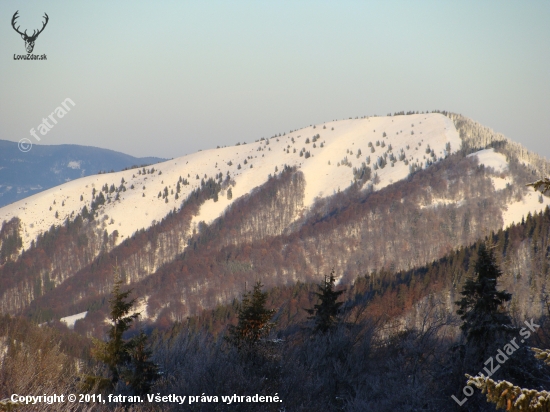 Lysec Belianska dolina Veľká Fatra