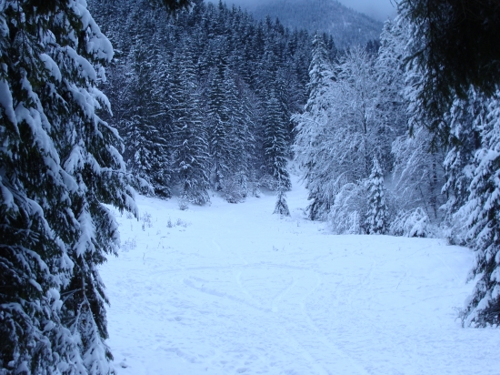 a sneží a sneží a sneží