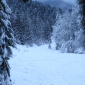 a sneží a sneží a sneží