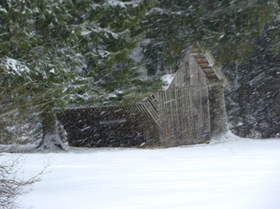 metelica pri krmení