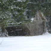 metelica pri krmení