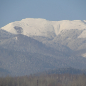 a začína to padať