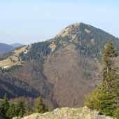 trošku jarnej nálady