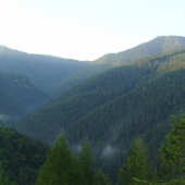 Ranný Borišov