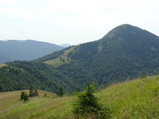 leto vo fatre