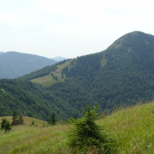 leto vo fatre