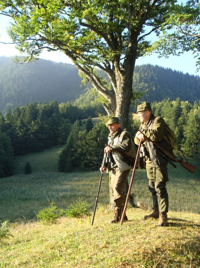 čakanie na ručanie