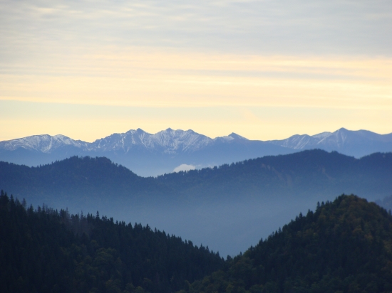 ...................ráno na ruji