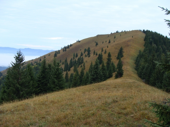 Lysec Belianska dolina Veľká Fatra