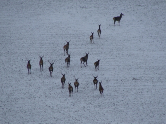 ráno pod dedinou v poli
