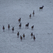 ráno pod dedinou v poli