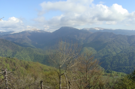 Jarná Fatra