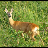 Dnes ráno na 5 metrov