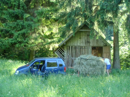 seno je usušené a upratané
