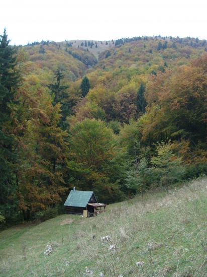 Pod Lyscom