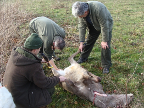 ... kde len tá žlč môže byť?