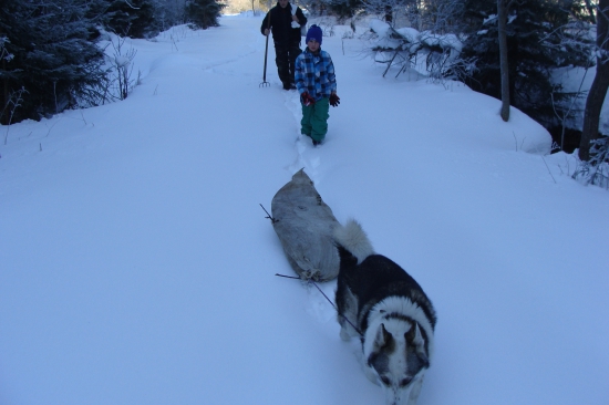 V hlbokom snehu ku krmelcu