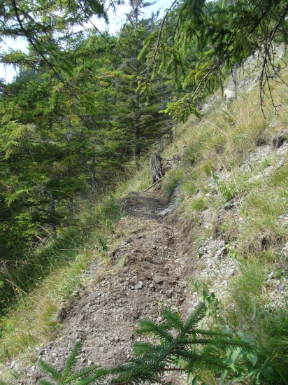 Obnova poľovníckeho chodníka v strmom teréne nášho revíru