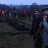 Spoločná poľovačka na diviaky Ponická huta