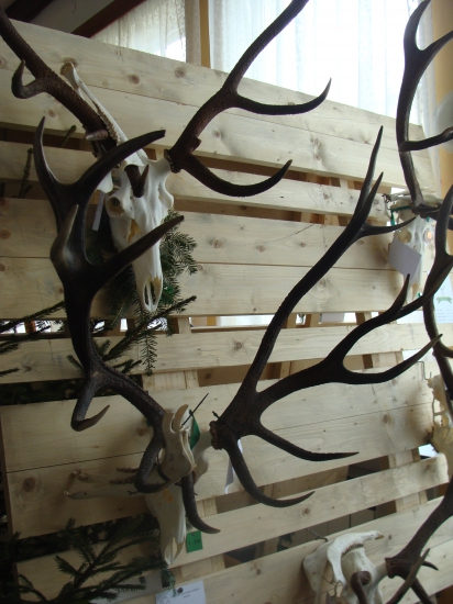 dnes sme boli popozerať čo sa urodilo