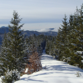 ..............zimná z Fatry