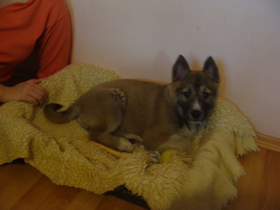 ...a začíname odznovu