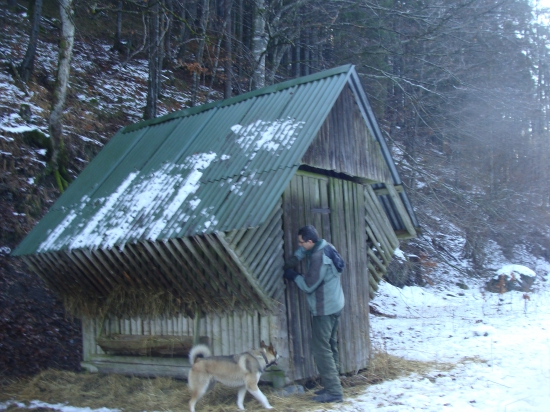 Prikrmovanie na Tri krále