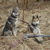 Zase trochu tréningu v odložení