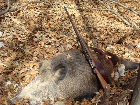 Ulovený 308 Win 9,7g GRAND SLAM SPEER prebíjaný