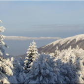 Náš revír Belianska dolina vpravo Lysec. Vzadu Martinské Hole.