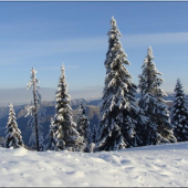 Ľubochnianska dolina Veľká Fatra