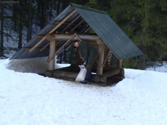 Prikrmovanie marec 2010