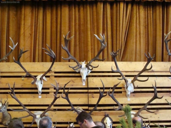 Chovateľská prehliadka trofejí ulovených  v Turci