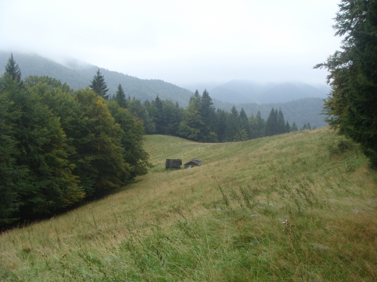 Horská poľana Belianska dolina  Veľká Fatra