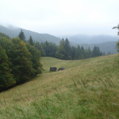 Horská poľana Belianska dolina  Veľká Fatra