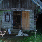 Po tme som prišiel na zrub