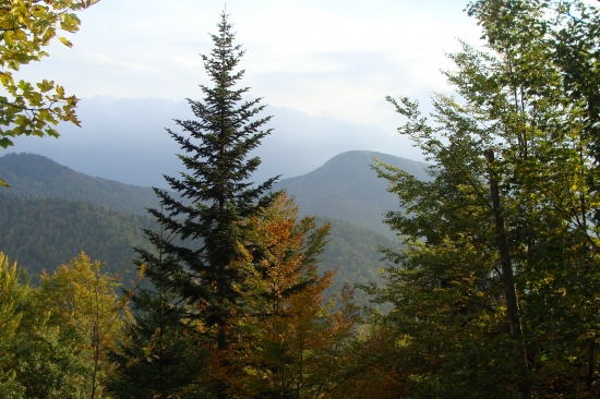 slovenský Yukon