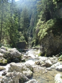 Canyon Kvačianka creek  North teritorium Slovakia