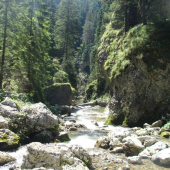 Canyon Kvačianka creek  North teritorium Slovakia