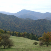 Dnes ráno zase  Borišov na dohľad