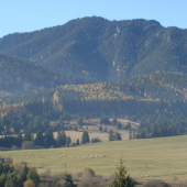 Poludnica Jánska dolina Nízke Tatry